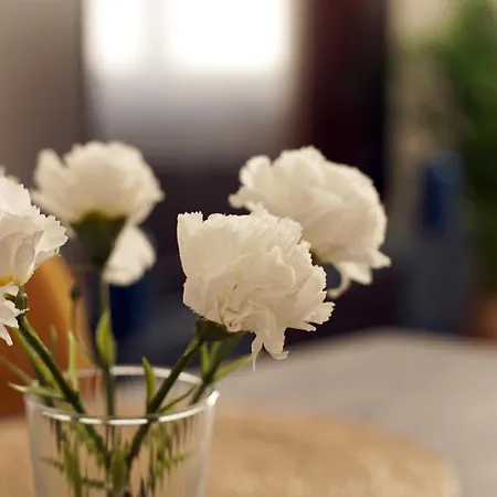 Apparemment T3 Au Coeur Champenois Daire