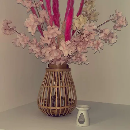 Apparemment T3 Au Coeur Champenois Daire *